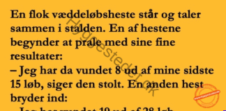 Hestene i stalden stod og pralede….