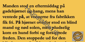 Den blinde mand og hunden…