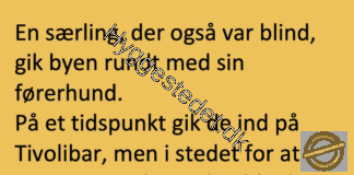 En blind mand kom ind på en bar med sin førerhund…