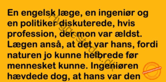 En læge, en ingeniør og en politiker diskuterede, hvis profession der var ældst…