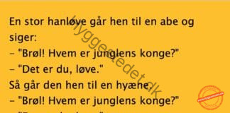 Junglens konge