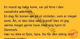Konen der forelskede sig i et stinkdyr på ferie i Canada..