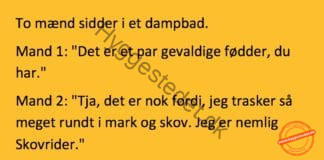 To mænd sad i et dampbad..