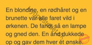 En blondine, en rødhåret og en brunette var faret vild i ørkenen…