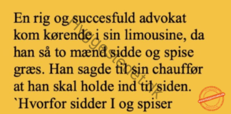 Den gavmilde advokat