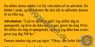 En ældre dame sidder ved siden af en advokat i flyveren….