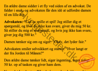 En ældre dame sidder ved siden af en advokat i flyveren….