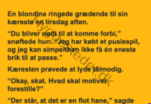 Det svære puslespil Det svære puslespil