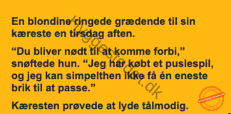 Det svære puslespil Det svære puslespil