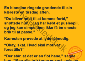 Det svære puslespil Det svære puslespil