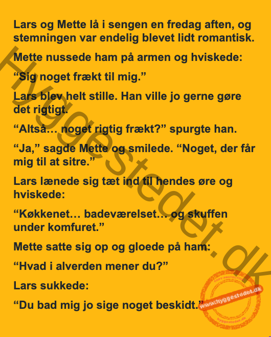 Lars og Mette lå i sengen en fredag aften og det var blevet lidt stemning..