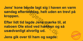 Naboen ved hækken Naboen ved hækken