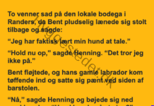 Den kloge hund på bodegaen Den kloge hund på bodegaen