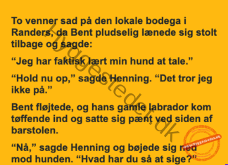 Den kloge hund på bodegaen Den kloge hund på bodegaen