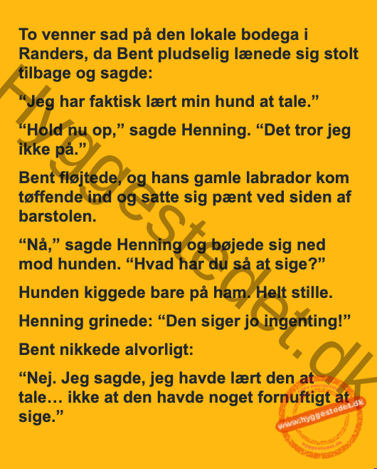 Den kloge hund på bodegaen