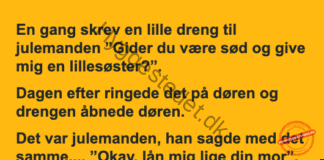 En lille dreng ønskede sig en lillesøster og skrev derfor til julemanden.. En lille dreng ønskede sig en lillesøster og skrev derfor til julemanden..