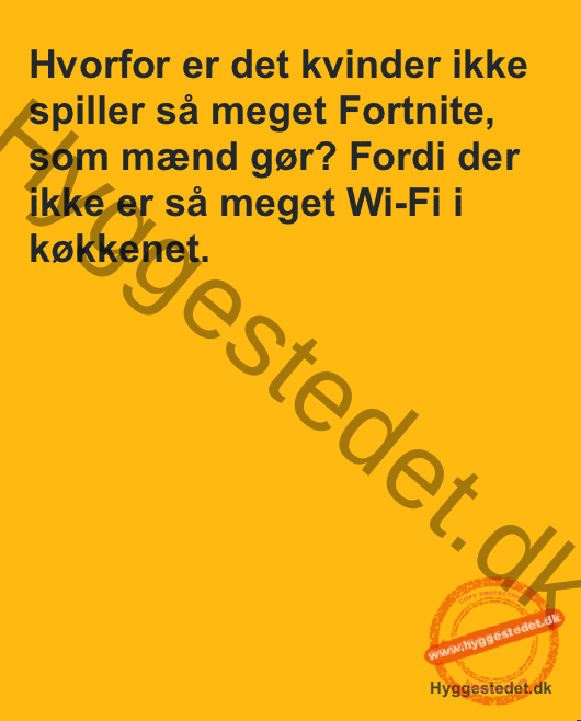 Hvorfor er det kvinder ikke spiller så meget Fortnite…